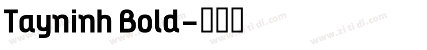 Tayninh Bold字体转换